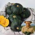 제주 밤단호박(보우짱) 4kg 소과(17~25과) (13,560원/무료)