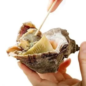 태안 자연산 참소라 1kg 10-15미 내외 (9,990원) (무료)