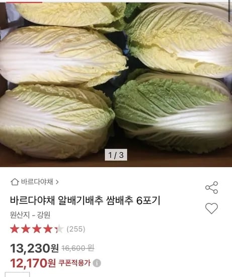 알배기배추 겉절이 쌈배추 6포기 (12,170 원/무배)