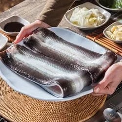 자포니카 풍천 민물장어 1kg 1~2미+소스2종+생강채 (25,900원/무배)3