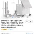 접이식 카트 대형 (34,050원/무배)