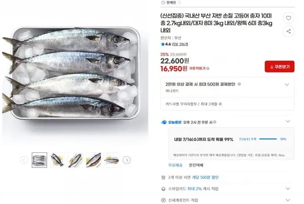 국내산 부산 자반 손질 고등어 중자 10미 총 2.7kg내외(16,950원/무배)1