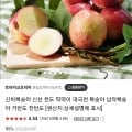신비 신선 대극천복숭아 1kg 8900원 / 무료배송