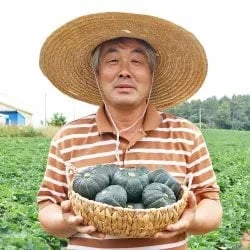 국내산 미니 밤호박 단호박 보우짱 3kg(5-12개) (9,945원/무료)