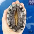 완도 활전복 1kg 9-10미 (유클 20,930원/무료)