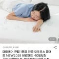 마미케어 오코텍스 쿨매트 (28,900원/무배)