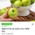 제철의 맛 풋사과 아오리 사과 가정용 2kg (8,440원/무료)