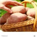 곡성 홍감자/두백감자 3kg/5kg/10kg (8,340원/무료)1