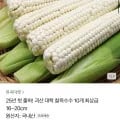 25년 괴산대학 찰옥수수 최상급 16cm~20cm 10개입 (8,900원/무료)3