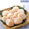 손질된 가리비 관자 30-40미 (냉동) (유클 10,970원/무료)6
