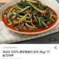 열무얼갈이 김치 4kg (16,300원/무료)1