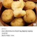 25년 수확 전라도 수미감자 5kg 대 (7,920원/무료)