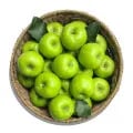 아오리사과 2kg (8,180원/무료)3