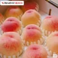 딱딱이 복숭아 2kg (7,920원/무료)7