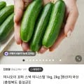 국내산 스낵 미니오이1kg (7,900원/무료)4