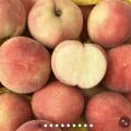딱딱이 복숭아 4kg (19,200원/무료)2