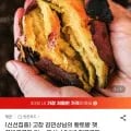 고창 황토 햇 꿀밤고구마 5kg 특상(유클12,010원/무료)2