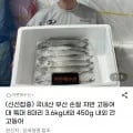 국내산 부산 손질 자반 고등어 대 특대 8마리 3.6kg내외 (19,840원/무배)