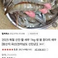 신안 활 왕새우 1kg (19,400원/무료)4