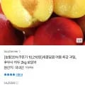 후무사 자두 2kg 로얄과 (10,210원/무료)2