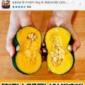 제주 밤단호박 보우짱 10kg 못난이 (16,280원/무배)3