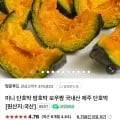 국내산 제주 미니 단호박 2kg (4,620원/네멤무료)