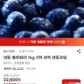 냉동 블루베리 1kg 3팩 (19,580원/무배)7
