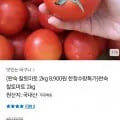 완숙 찰토마토 2kg (8,900원/무료)2
