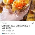 국내산 암꽃게 1kg (20,990원/무료)4