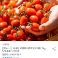 ] 국내산 로얄과 대추방울토마토 2kg 외 마신다 무라벨 생수 24개 (6,950원/무료)14