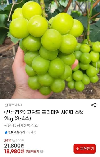 고당도 프리미엄 샤인머스캣 2kg (3-4수) (18,980원/무배)3