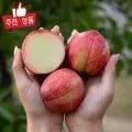 신비복숭아 1kg (6,560원~/무료)3