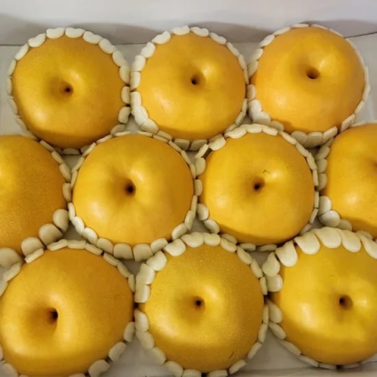 나주 가정용배 5kg (15,400원/무료)6