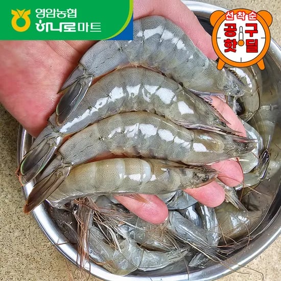 농협 제철 신안 활새우1kg (19,400원/무료)2