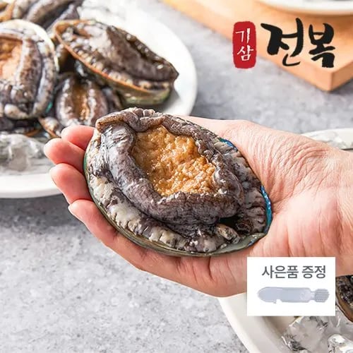 기삼전복 10미 1kg + 손질솔 증정 (20,720원/무배)1