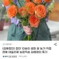 장미생화 꽃 16~20송이 (유클7,930원/무료)3