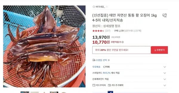 태안 자연산 활 오징어 1kg (10,770원/무료)