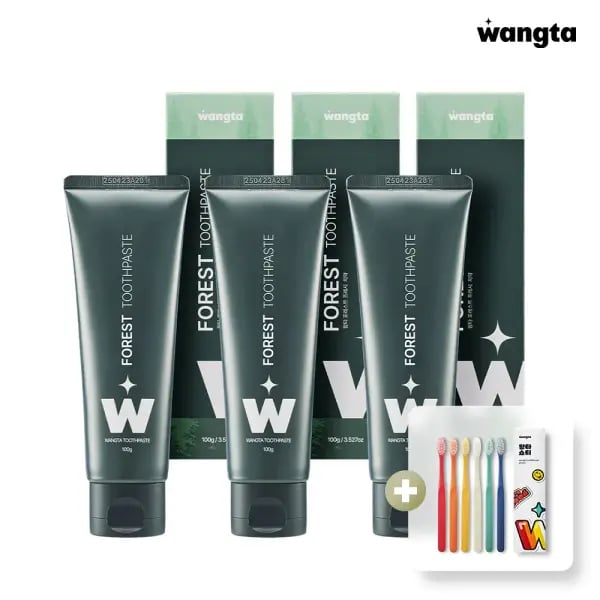 왕타 포레스트 치약 100g x 3개 (12,800원/무배)1