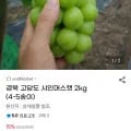 경북 고당도 샤인머스켓 2kg