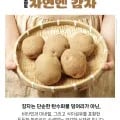 강원도 햇 두백 감자 3kg