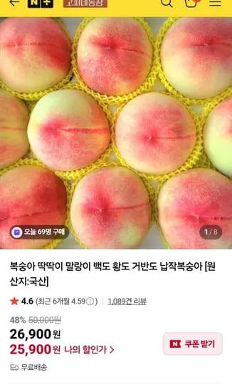 딱딱이 대과 10-15과