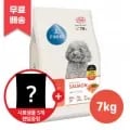 피니키 강아지사료 독 연어 7kg 5개 외 다양