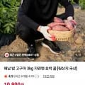 해남 밤 고구마 중~특대 3kg