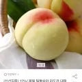 제철 마도카 대옥계 말랑이 복숭아 4kg