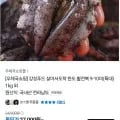 완도 활전복 특대 1kg