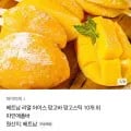 베트남 아이스 망고바 10개