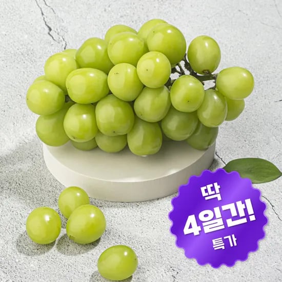샤인머스켓 1kg 2수
