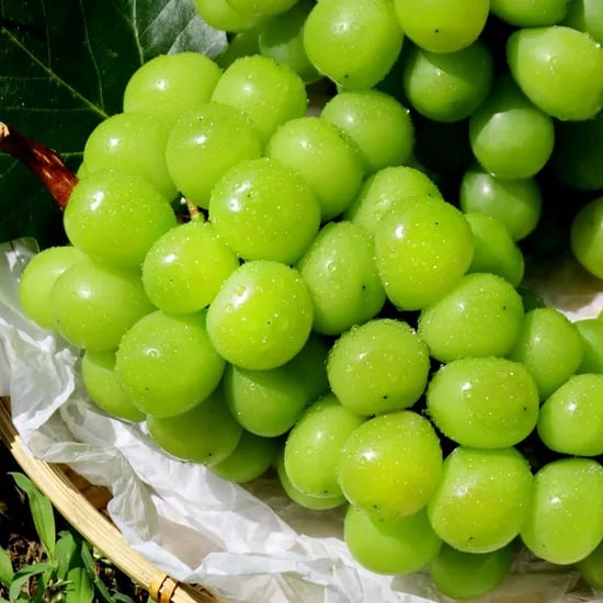 샤인머스켓 2kg 5-6송이