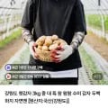 강원도 햇감자 왕사이즈 3kg