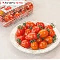 스테비아 대추 방울토마토 500g 4팩